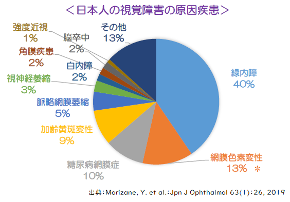 日本人の視覚障害の原因疾患