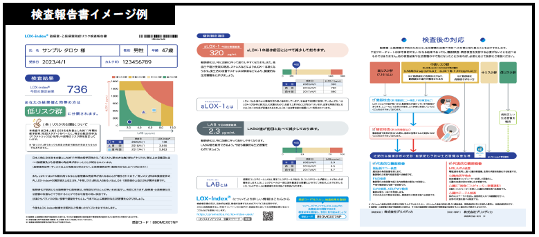 検査報告書のイメージ例