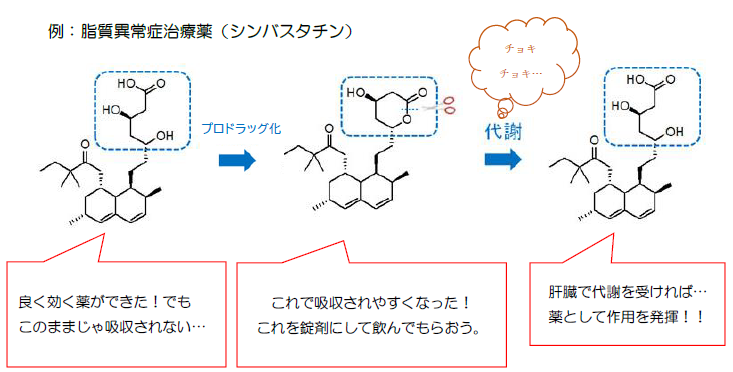 プロドラッグ化の例：脂質異常症治療薬（シンバスタチン）