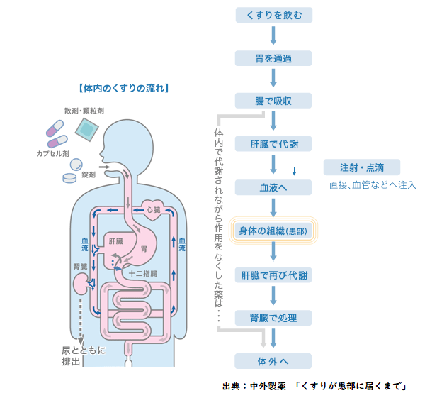 体内のくすりの流れ