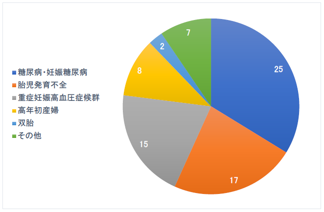 ハイリスク妊娠・分娩の内訳 2024年